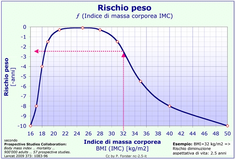 ... Biciclette Elettriche, Pieghevoli e Utility - Rischio peso