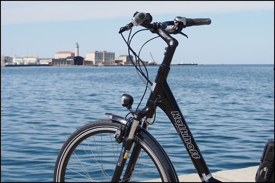 Forum Indipendente Biciclette Elettriche, Pieghevoli e Utility - Da Kalkhoff  Agattu XXL a cosa?
