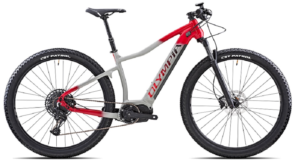 Forum Indipendente Biciclette Elettriche, Pieghevoli e Utility - Novità  italiane hub e centrali