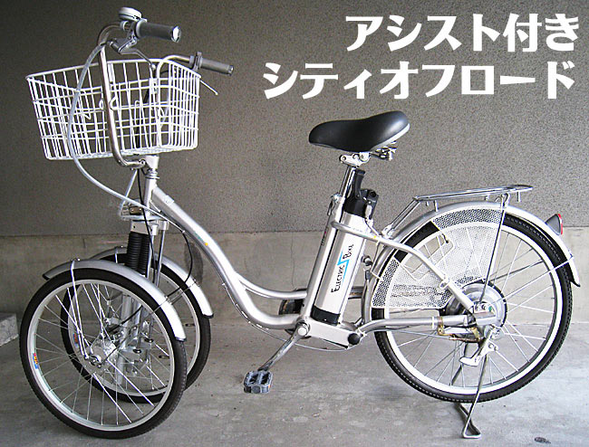 2009921234328_strana%20bici%20a%20tre%20ruote.jpg