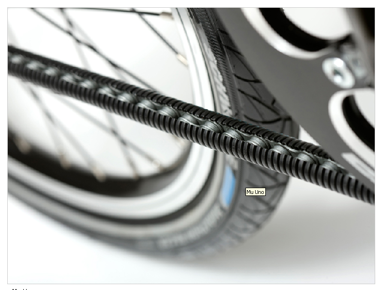 Forum Indipendente Biciclette Elettriche, Pieghevoli e Utility - paracatena  per dahon curve d3