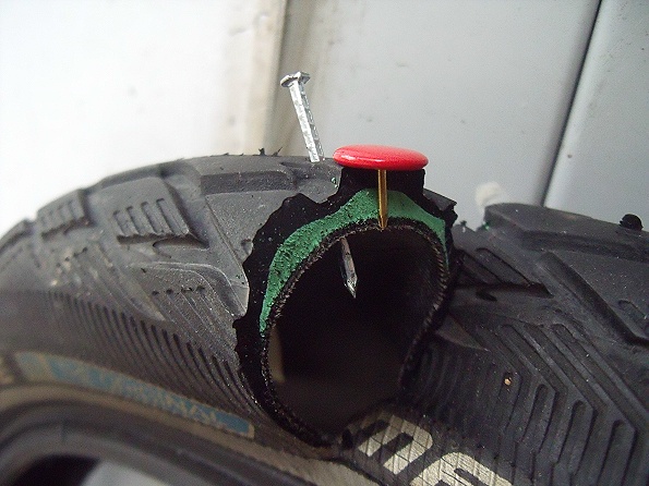 Forum Indipendente Biciclette Elettriche, Pieghevoli e Utility - sezionata  gomma antiforatura