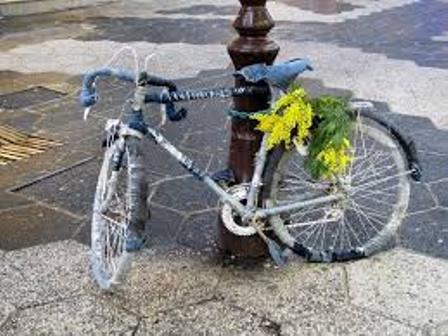Forum Indipendente Biciclette Elettriche, Pieghevoli e Utility - Oggi 8  marzo Auguri a: