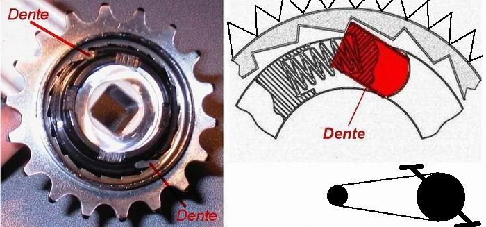 2007114174444_ruota%20libera-dente-1.jpg