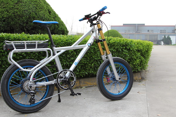 Forum Indipendente Biciclette Elettriche, Pieghevoli e Utility - Pix test  n. 51 -Ekletta NAKED