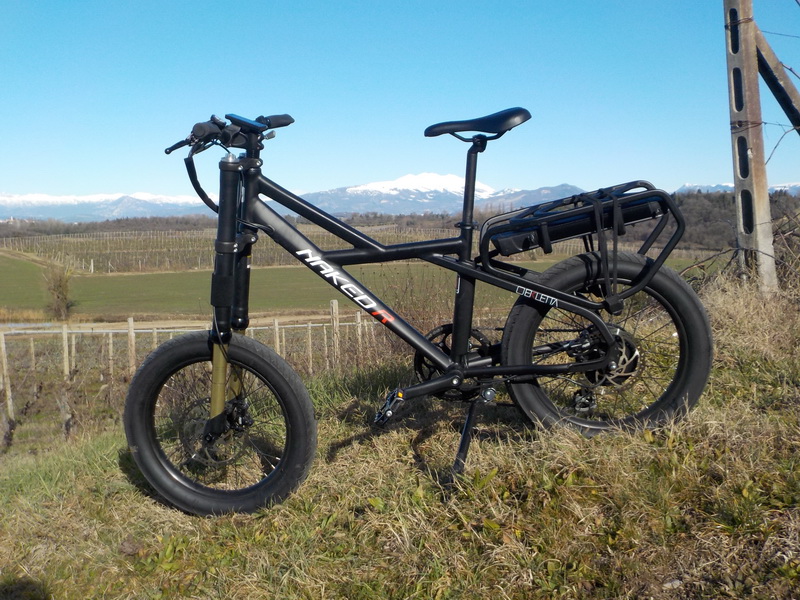 Forum Indipendente Biciclette Elettriche, Pieghevoli e Utility - pix-test  n. 91-Ekletta NAKED e NAKED R - 2020